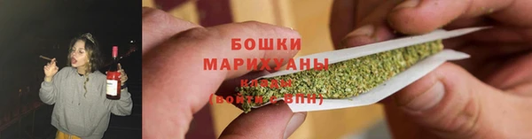 ПСИЛОЦИБИНОВЫЕ ГРИБЫ Верхнеуральск
