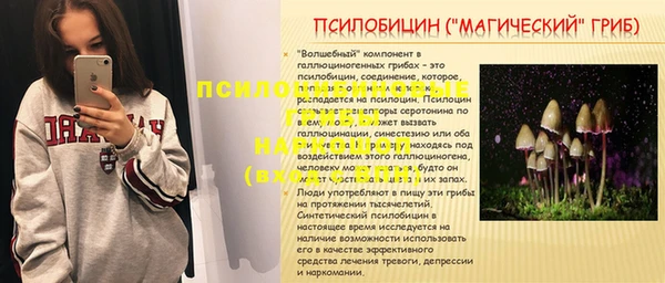 ПСИЛОЦИБИНОВЫЕ ГРИБЫ Верхнеуральск