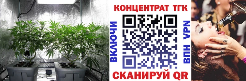 Купить  Выкса  Дистиллят ТГК гашишное масло 