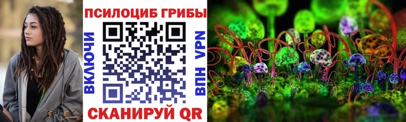 Псилоцибиновые грибы Psilocybe  Купить закладки  Выкса 